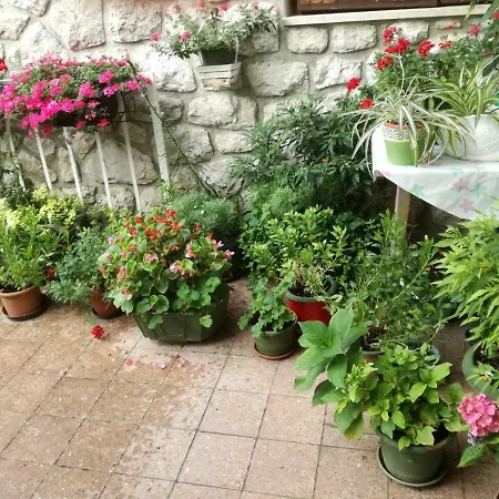 Apartment Gordana